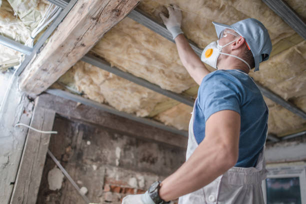 Best Insulation Removal Services  in Cherry Brah, NC