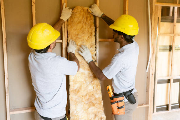 Best Insulation Replacement Services  in Cherry Brah, NC