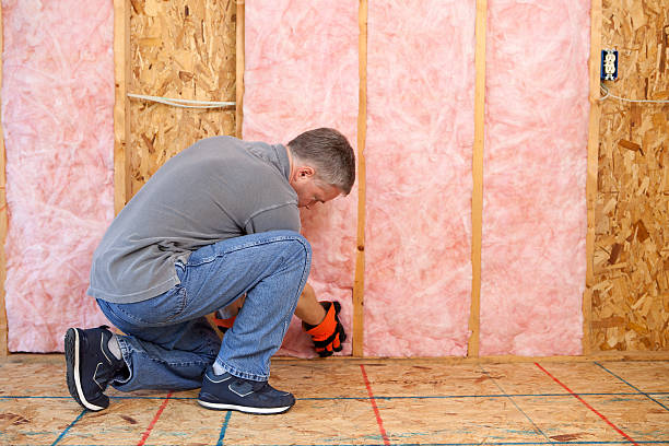 Best Spray Foam Insulation  in Cherry Brah, NC