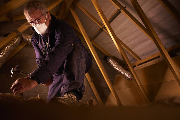 Attic Insulation Near Me in Cherry Branch, NC